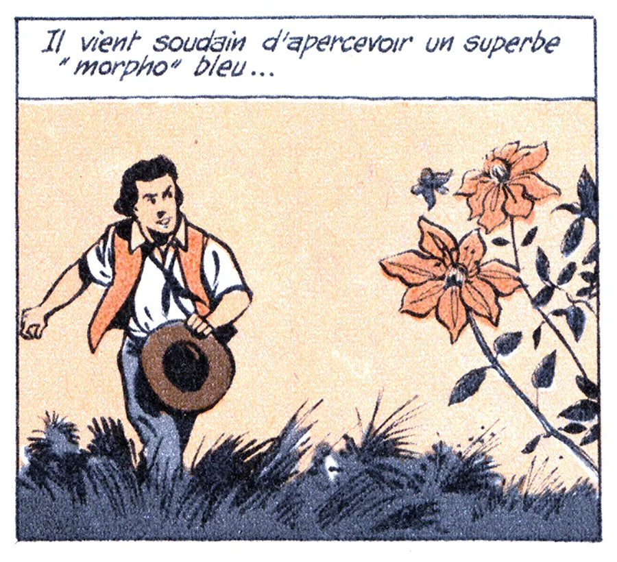 Comic panel 6
