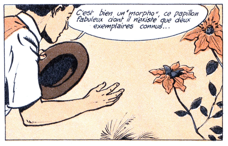 Comic panel 7