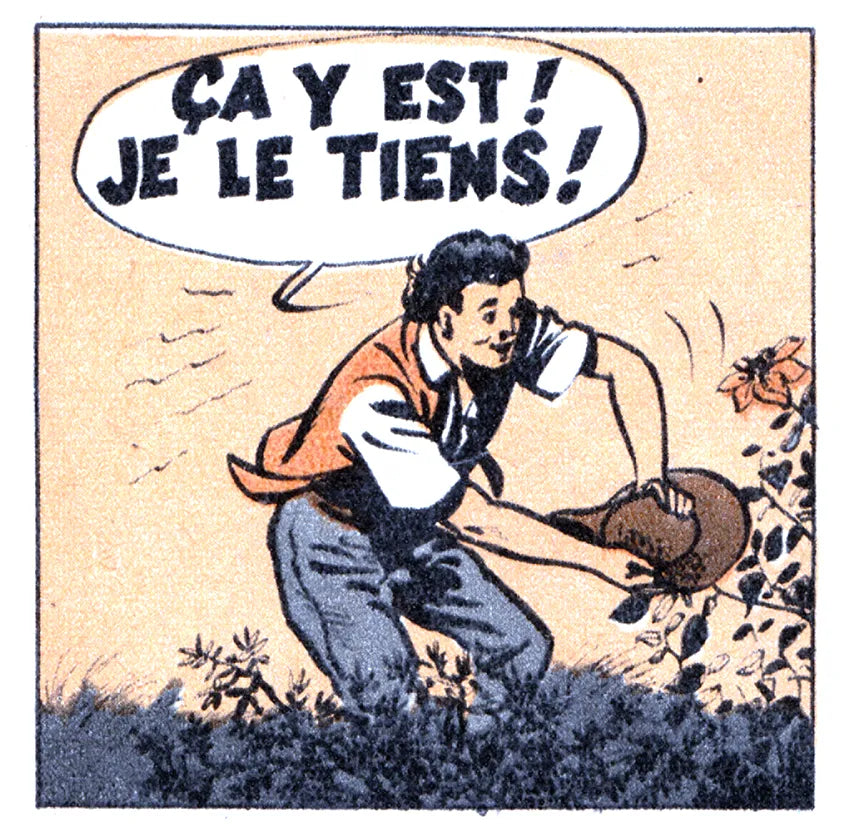 Comic panel 8