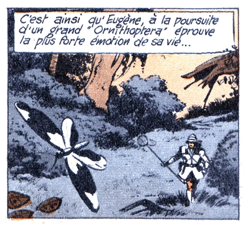 Comic panel 14