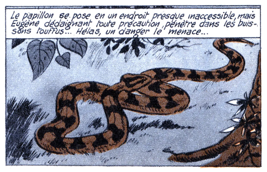 Comic panel 15