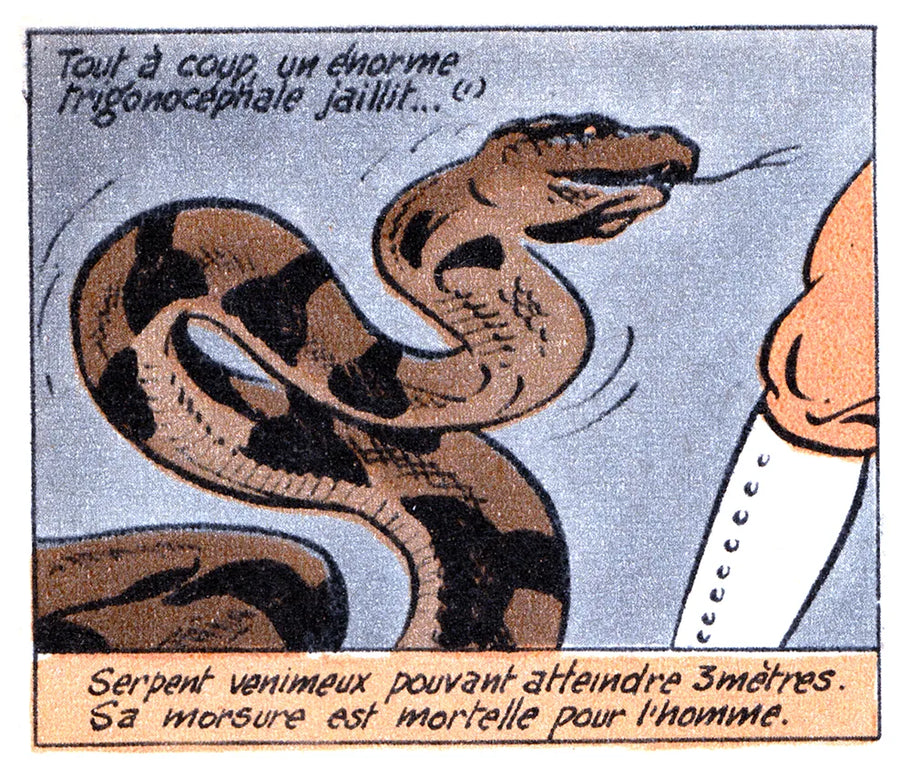 Comic panel 16