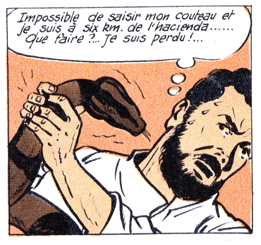 Comic panel 18