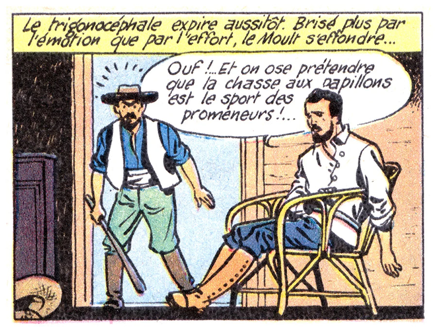 Comic panel 30