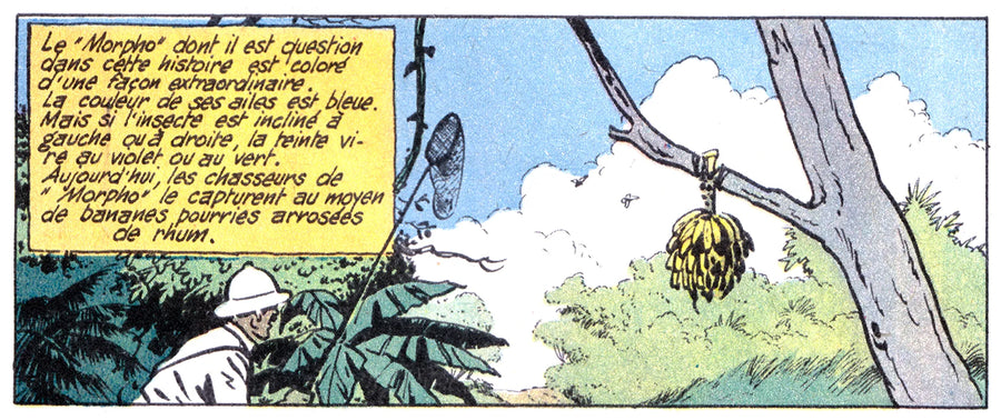 Comic panel 44